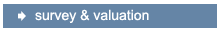 Survey & Valuation